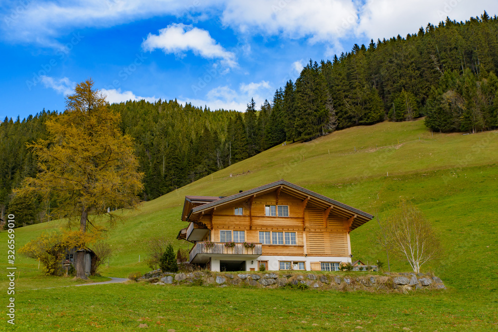Fototapeta premium Traditional Swiss style houses on the green hills with forest in the Alps area of Switzerland, Europe