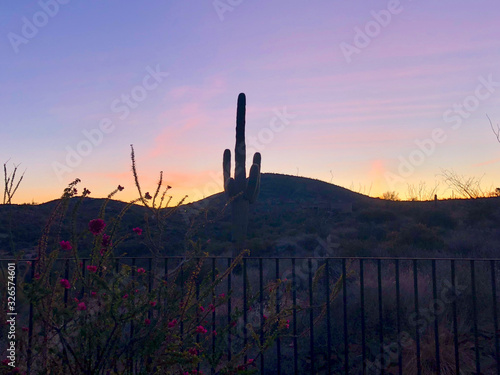 sunset in desert cactus carefree arizona