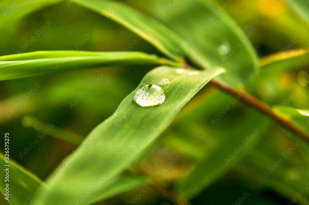 blurry nature background of a temporary shelter, created to reside in the garden or relax while traveling blurry nature background of a temporary shelter, created to reside in the garden or relax while traveling