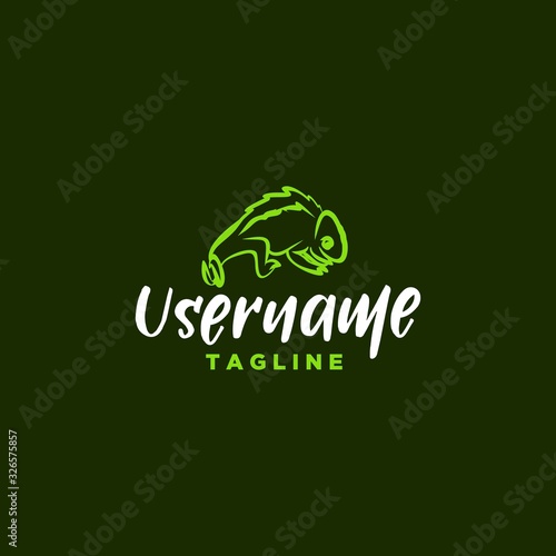 chameleon logo design inspriation . chameleon logo design template . chameleon cartoon icon design . colorful logo photo