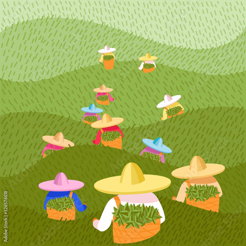 vector image of tea pickers. people in colored hats and colored clothes with baskets of leaves
