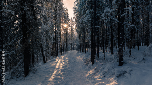 Rocky Mountain Beautiful Winter Sunset Along Forest Trail © Jordan Feeg