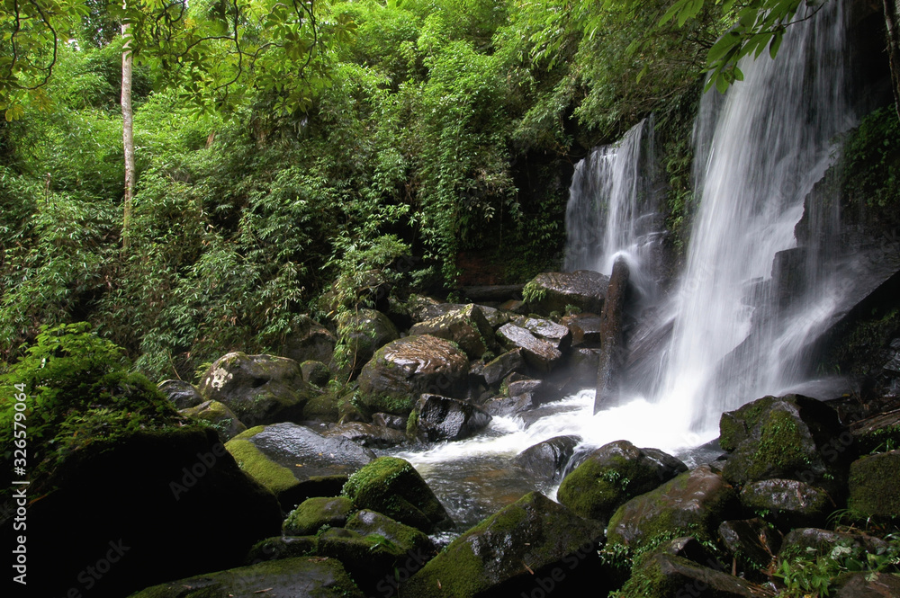 Fototapeta premium Forest Stream and Waterfall Phu Hin Rong Kla National Park Nakhon Thai District, Phitsanulok Province;Thailand