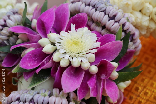 flower