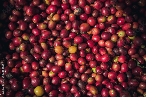 Red coffee beans background.