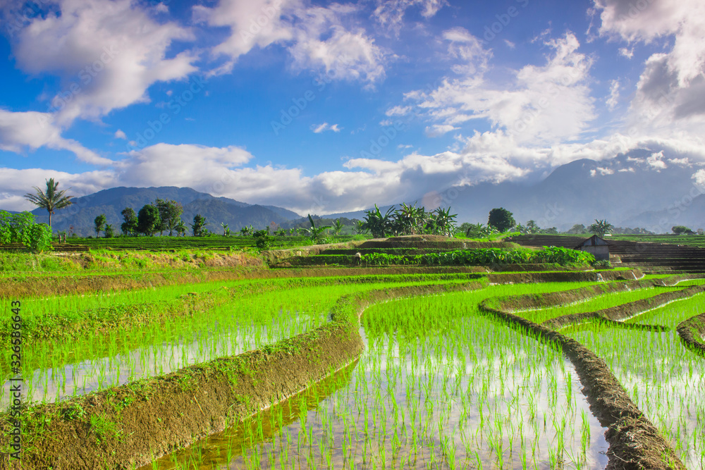 long exposure rice terraces in the morning with bright sky and beautiful sun