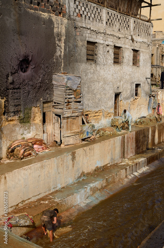 Worker washing raw sheep pelts in the Fes river at the Chouara quarter Tannery Morocco photo