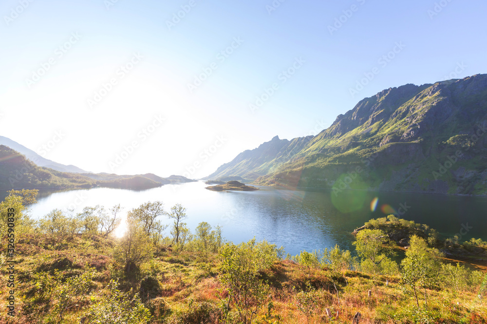 Fototapeta premium Lofoten