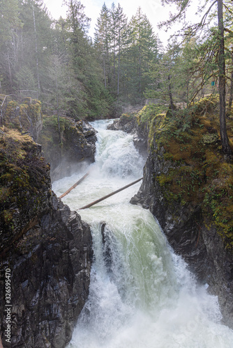 Vertical Shot of the Little Qualicum Falls Provincial Park in Spring  2019 Vancouver Island  B.C.