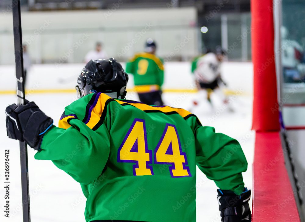Fototapeta premium Hockey player Getting on the Ice