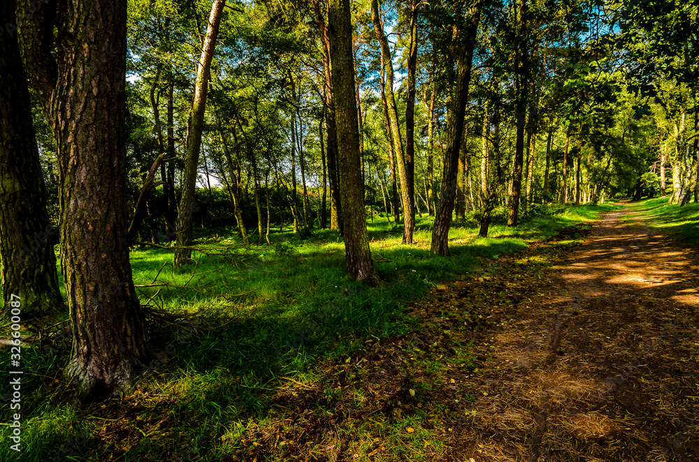 In der Heide in Haltern In der Heide in Haltern