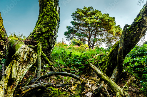 In der Heide in Haltern