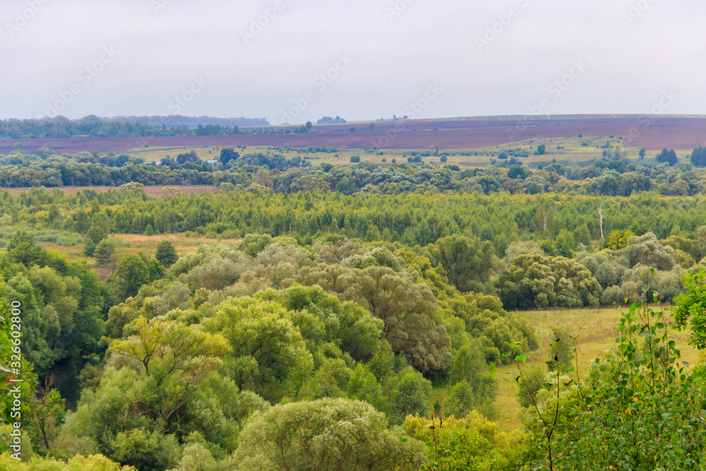 Summer landscape with green hills, trees and fields