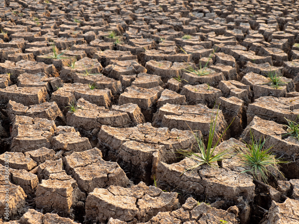Global warming causes dry and cracked soil. Global warming causes dry and cracked soil.