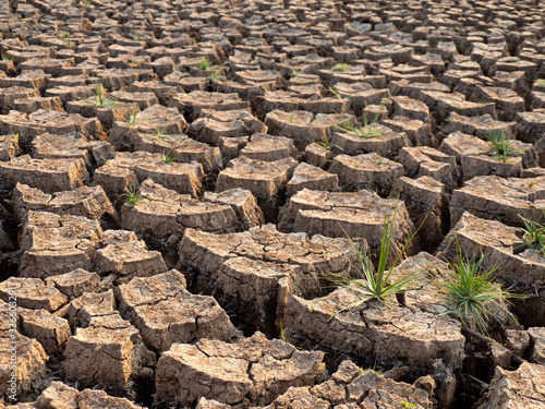 Global warming causes dry and cracked soil.
