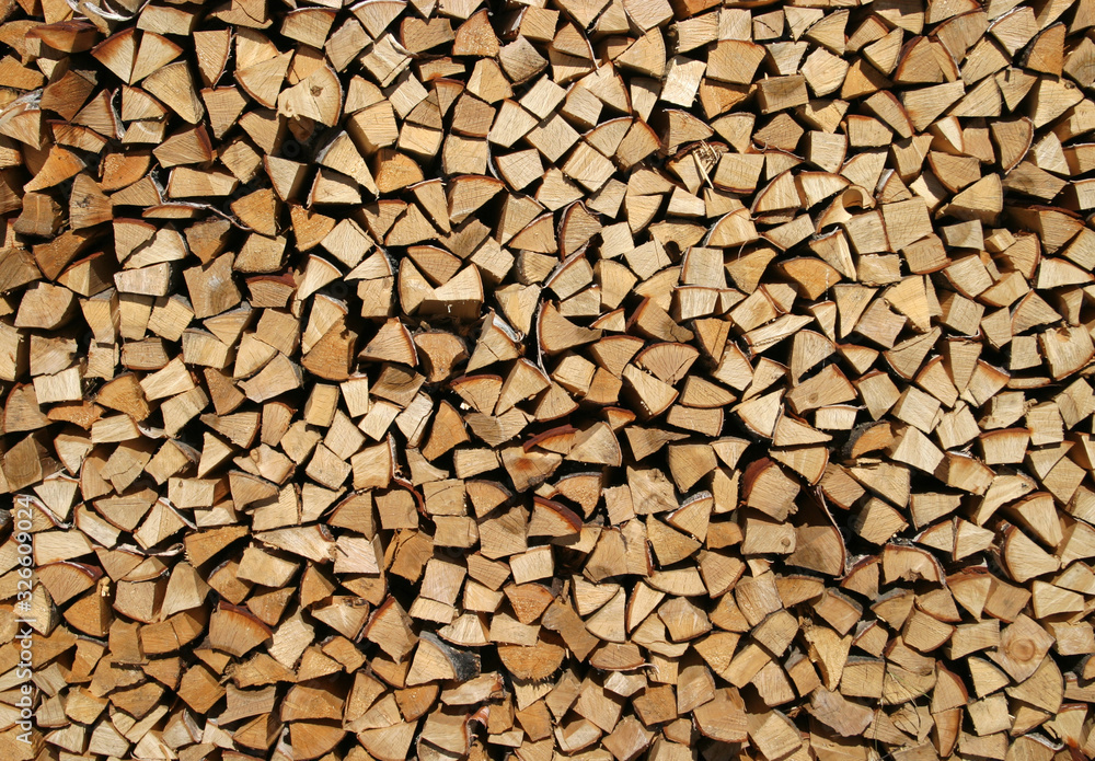 birch firewood stacked in a woodpile