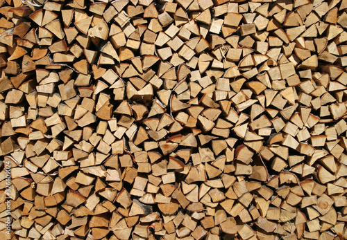birch firewood stacked in a woodpile
