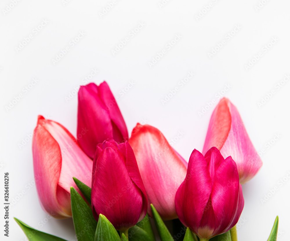 Obraz premium Beautiful tulips bouquet
