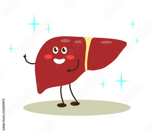 Happy healthy liver on a white background. Cartoon. Vector illustration.