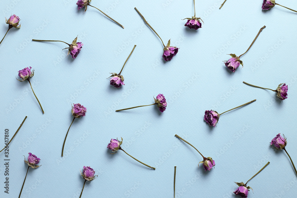Purple dry rose flowers pattern on blue background. Floral composition, flat lay, top view Purple dry rose flowers pattern on blue background. Floral composition, flat lay, top view