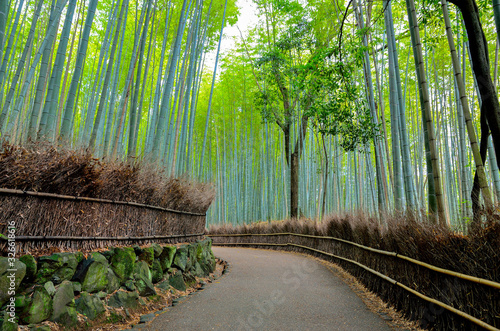 Fototapeta Naklejka Na Ścianę i Meble -  京都　嵐山の竹林の道