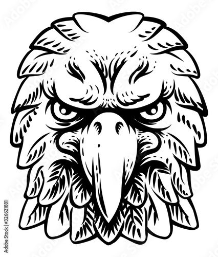 An eagle, falcon hawk or ph...