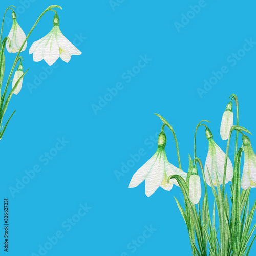 White Snowdrop spring easter flowers with Fresh green leafs bouquet frame. Delicate Snowdrops first flower spring symbols. Hand painted Watercolor illustration isolated on blue background concept.