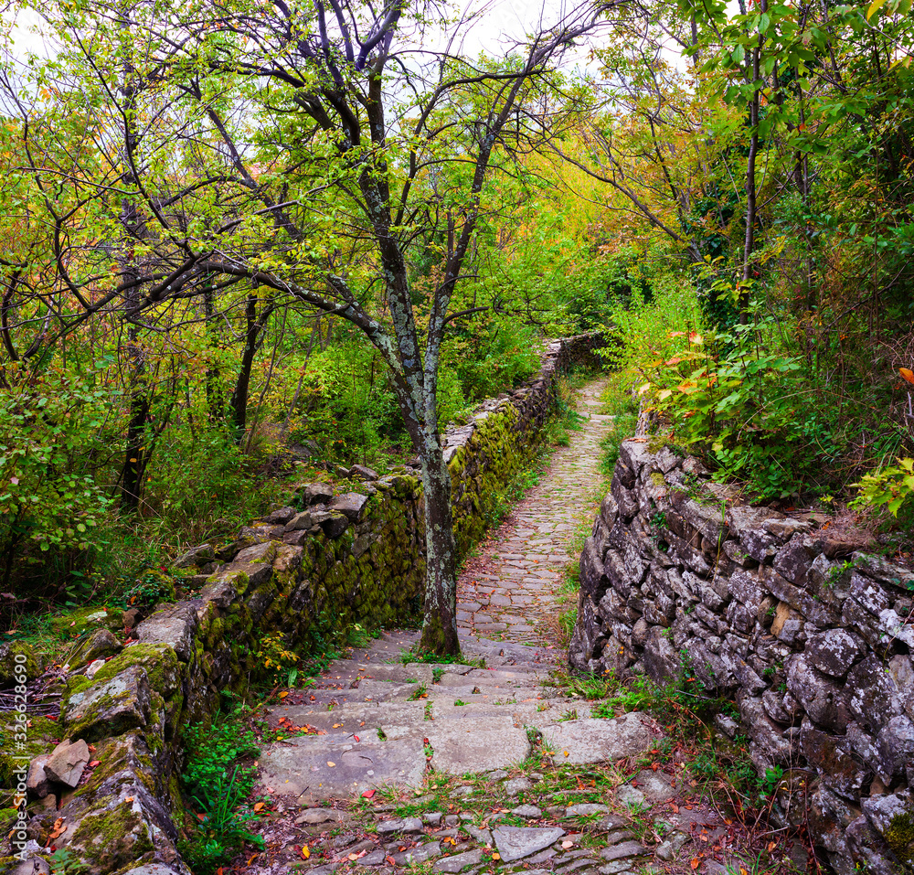 Fototapeta premium Tree in the middle of the path
