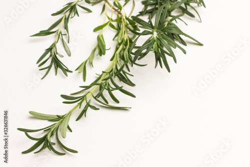 Sprig of rosemary on white background