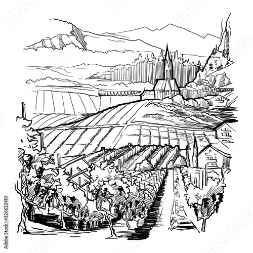 Vinyard in Tirol Alps, Austria. Rural panorama of the mountain valley with a grapevine plantation and village. Vintage design. Linear sketch isolated on white background. EPS10 vector illustration