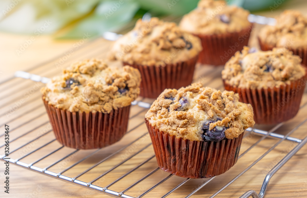Fresh baked blueberry muffins cupcakes on wooden background Fresh baked blueberry muffins cupcakes on wooden background