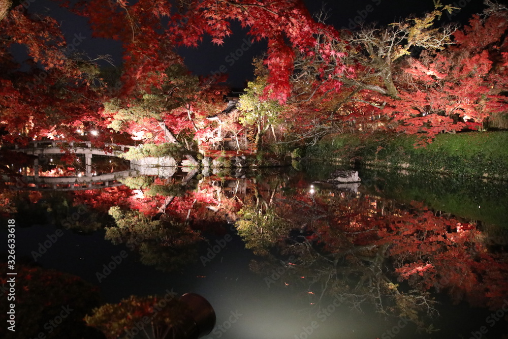 Night-time Autumn Leaf at Eikan-do Temple, Kyoto, Japan