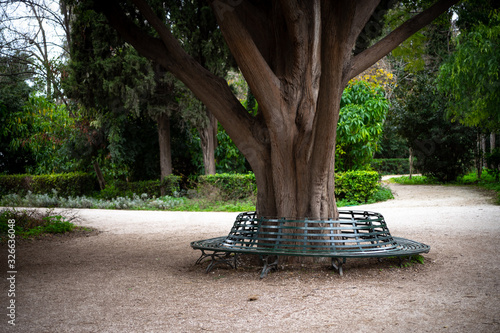 Athens, Greece, national garden paths  and metal circular bench around tree trunk in urban park.