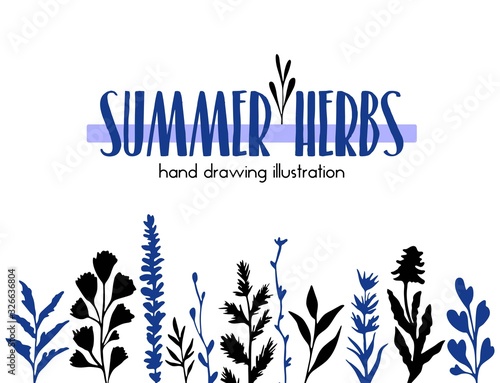 Summer herbs ink silhouettes illustration hand drawing