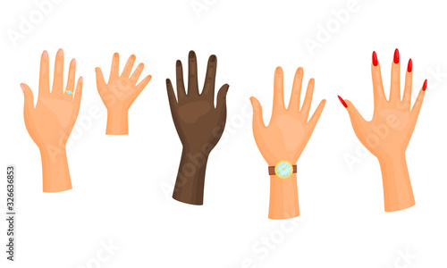 Different Hands with Rings and Watch Isolated on White Background Vector Set
