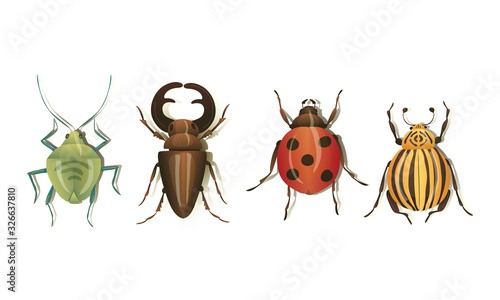 Realistic Bugs and Insects with Shadows Vector Set