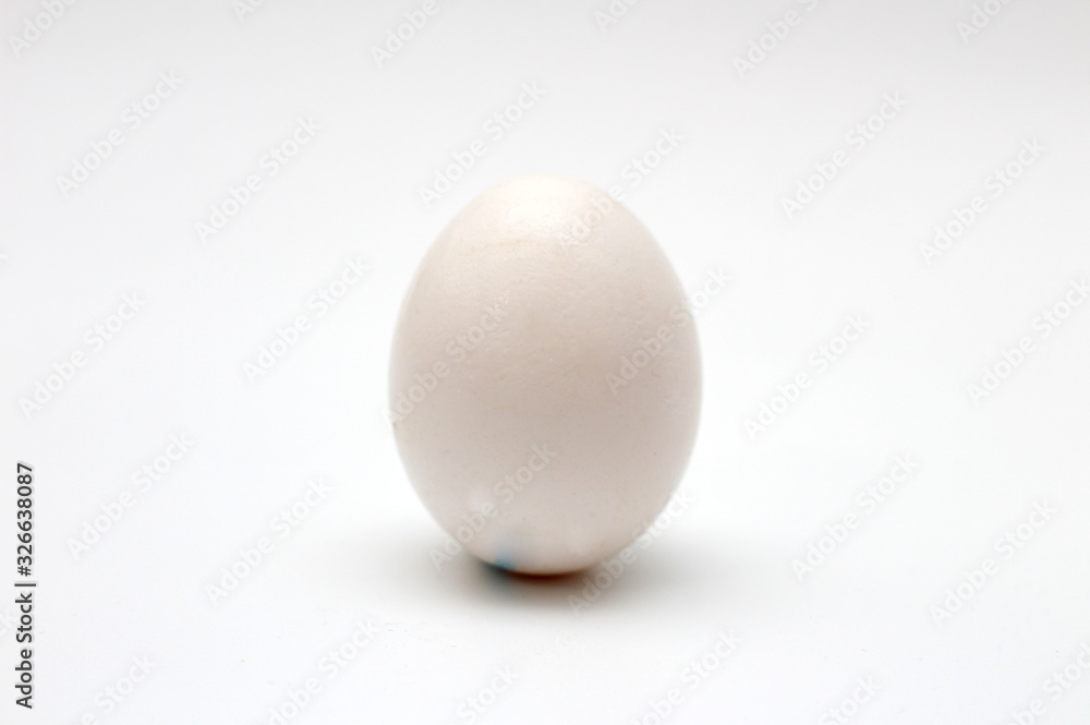 Egg on a white background Egg on a white background
