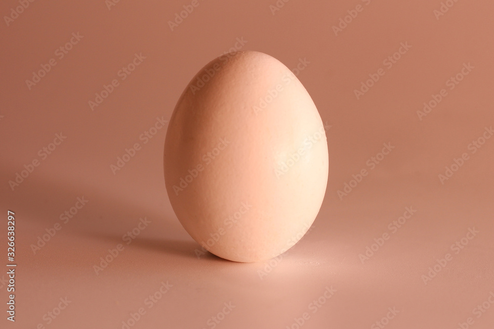 Egg on a white background Egg on a white background