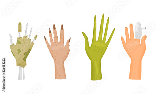 Hands and Paws of Monsters and Fantastic Creatures Like Hobgoblin and Zombi Vector Set