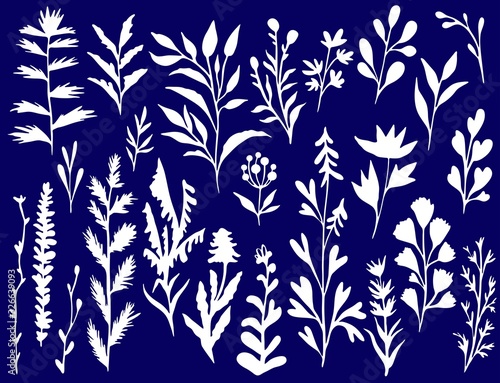 Flowers ink silhouettes illustration set of elements hand drawing