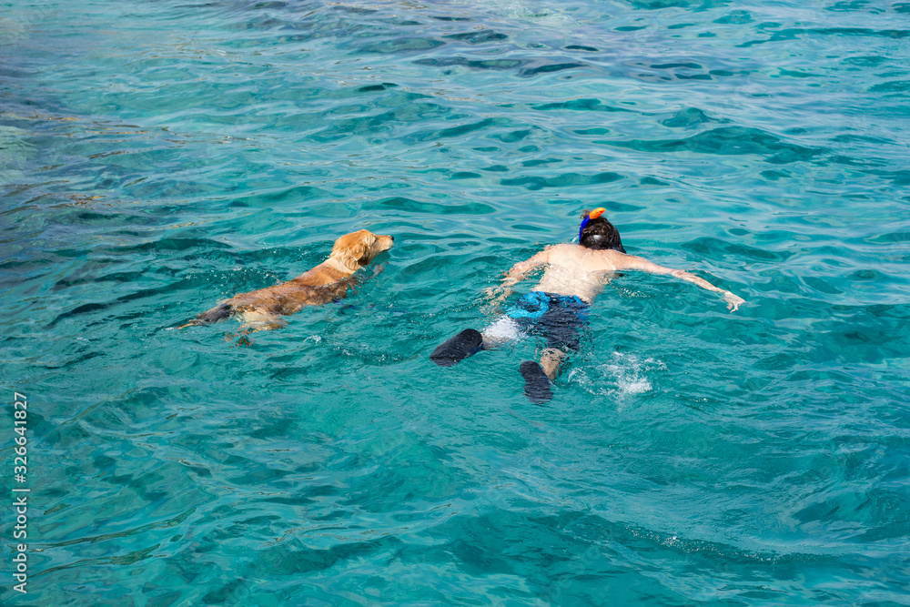 man swimming with dog water activities summer relaxation concept photography from above poster concept on Red sea water scenic view