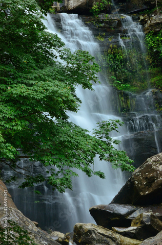 Forest Stream and Waterfall  in national park Kradueng Thailand