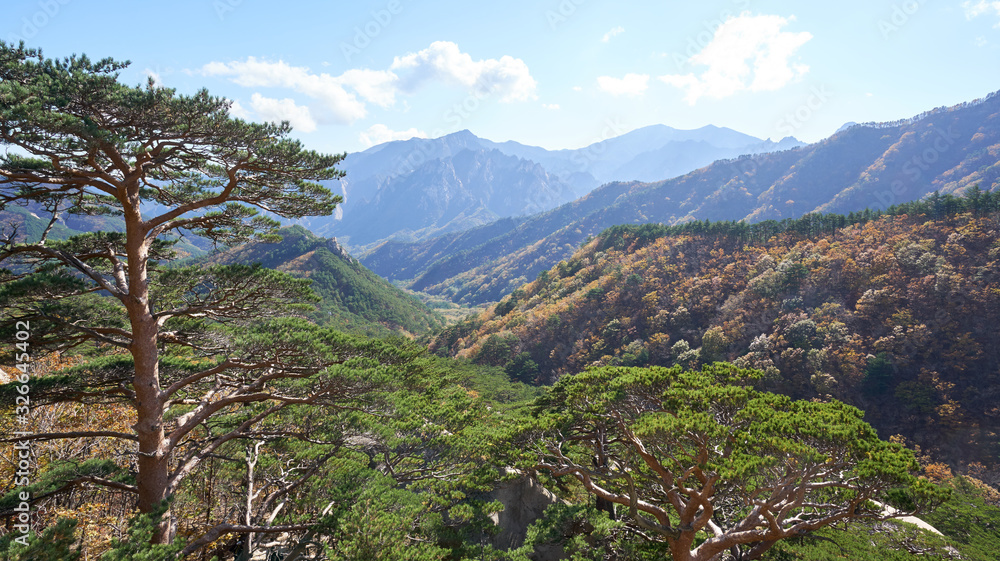 Autumn forest with mountains and rocks in Seoraksan National Park in Sokcho in South Korea.