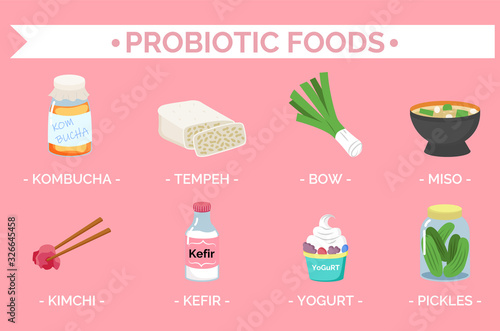 Probiotic foods for healthy digestion and immunity. Kimchi and kombucha, tempeh and bow, miso soup and kefir, pickled cucumber and yogurt. Organic vegetables and dairy products vector in flat