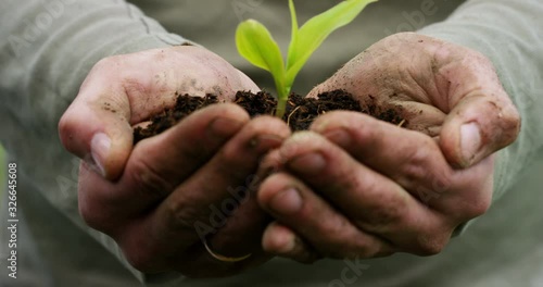 Care of new life watering young plant vintage effect.