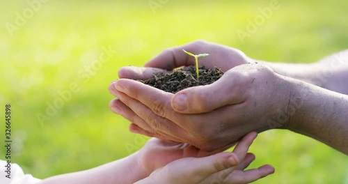 Care of new life watering young plant vintage effect.