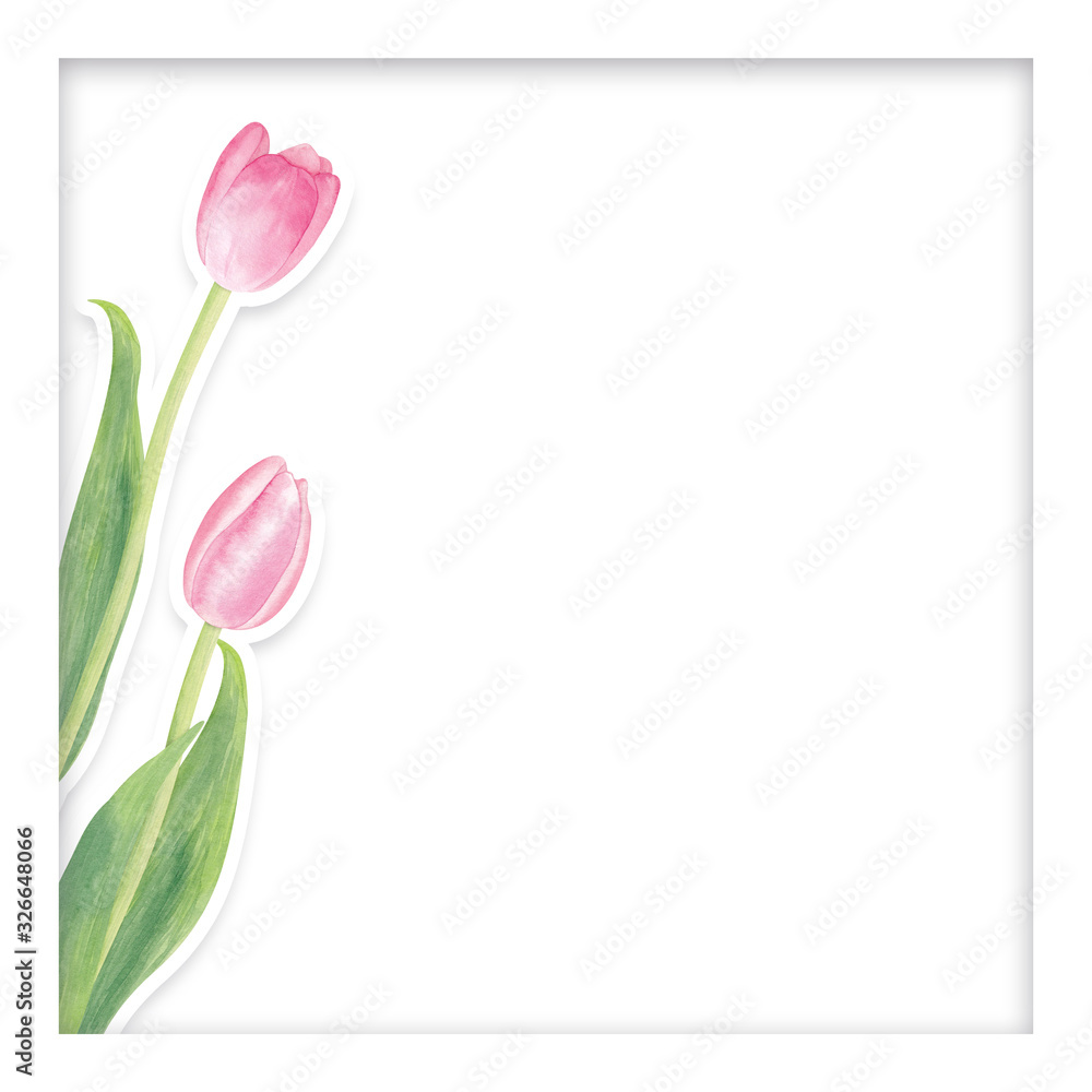 Watercolor pink tulip flowers in paper cut style inside square frame. Simple and beautiful composition. Good for web design or post in social networks.