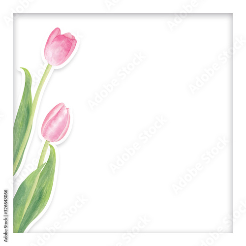 Fototapeta Naklejka Na Ścianę i Meble -  Watercolor pink tulip flowers in paper cut style inside square frame. Simple and beautiful composition. Good for web design or post in social networks.