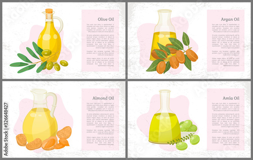 Collection of amla and olive, almond and argan oils for hair care and treatment. Haircare using organic and natural ingredients. Bottles and green branches. Posters set with text sample vector