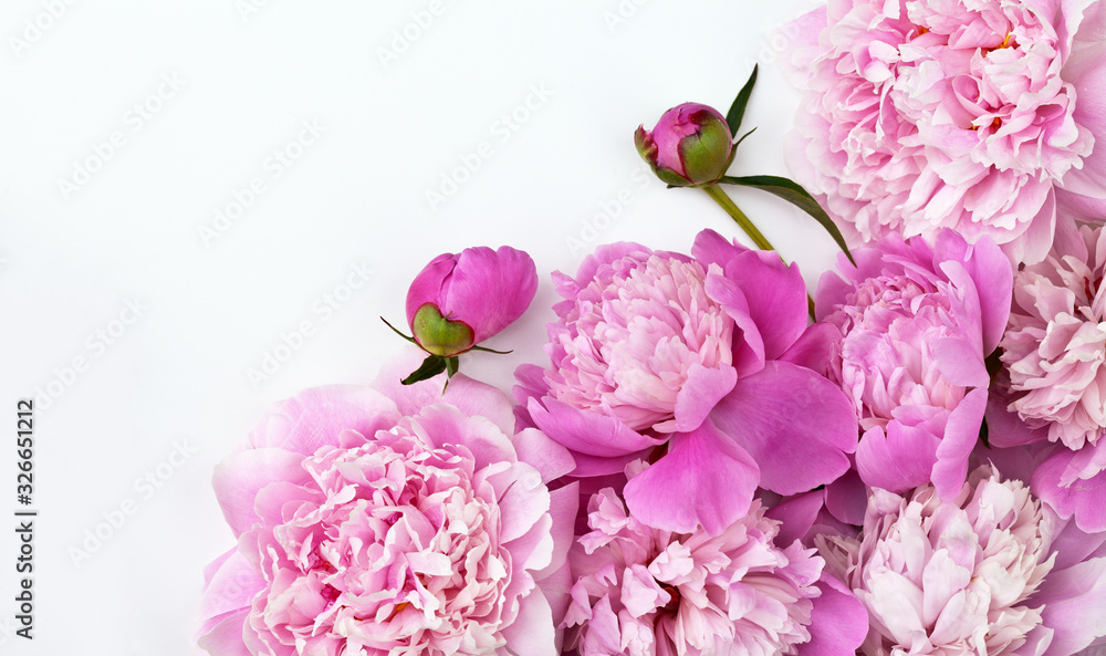 Romantic lovely bouquet of fresh pink peonies on a white background. Greeting card, message, holiday invitation, place for text. Spring floral background, close up, copy space Romantic lovely bouquet of fresh pink peonies on a white background. Greeting card, message, holiday invitation, place for text. Spring floral background, close up, copy space